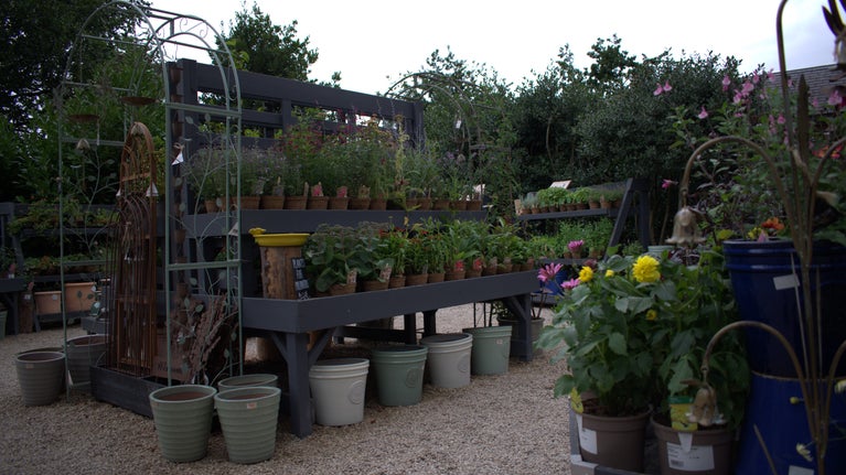 Garden Shop Visitor Reception